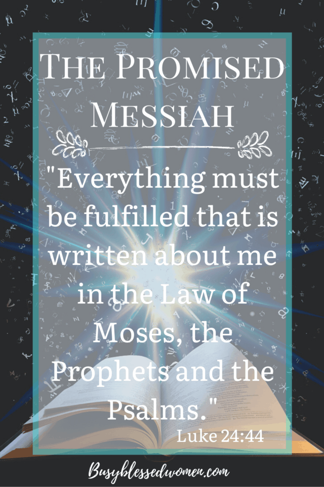 the promised messiah