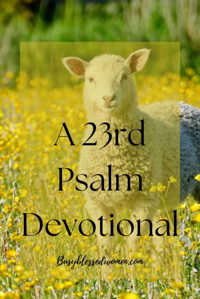 A 23rd Psalm Devotional- One single lamb in field of yellow flowers