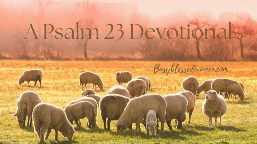 Psalm 23 Devotional- flock of sheep grazing in close cut field with pink/orange sky