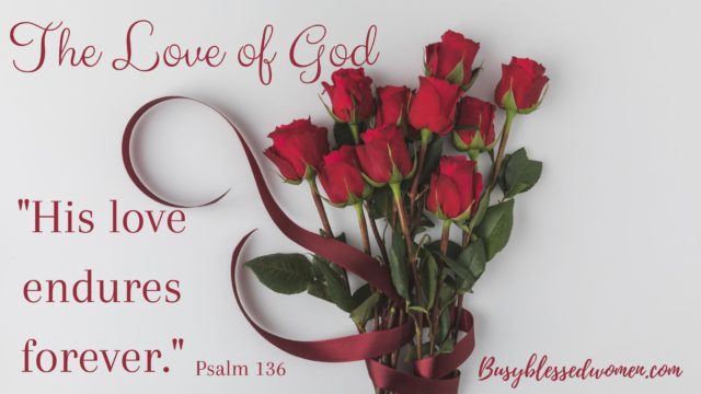 the love of God- bouquet of red roses tied with wide dark red ribbon on grey background