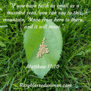 A Mustard Seed of Faith- green leaf filled with mustard seeds on green grass