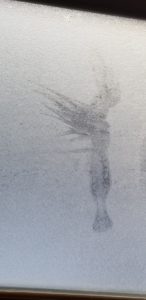 shadow figure of angelic looking being on frosted glass