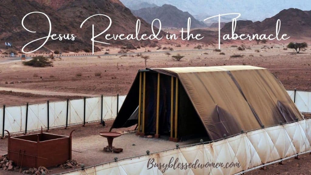 Jesus revealed in the tabernacle- real life replica of the tabernacle erected in desert area with mountains in background