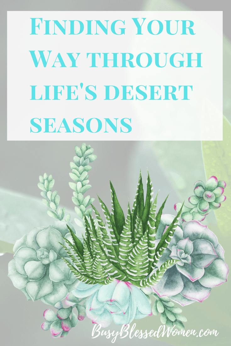 Life's Desert Seasons