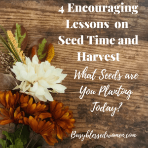 Seed and Harvest