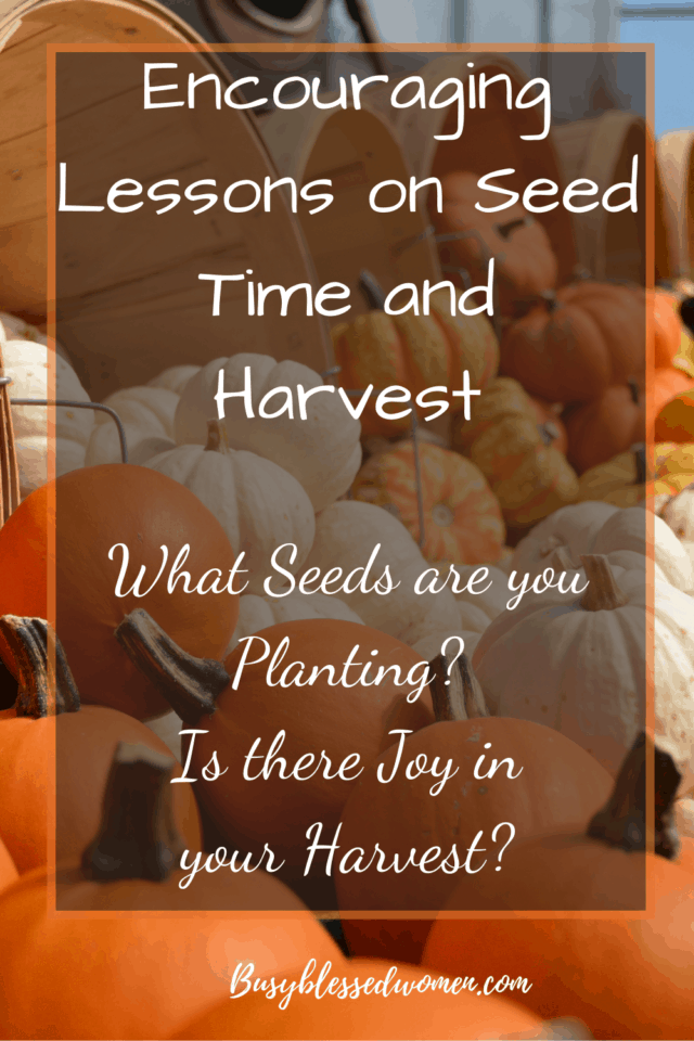 Seed time and harvest- different colored pumpkins spilling out of baskets