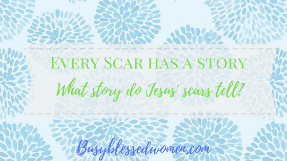 every scar has a story- words on light blue background with illustration of blue puffy flowers