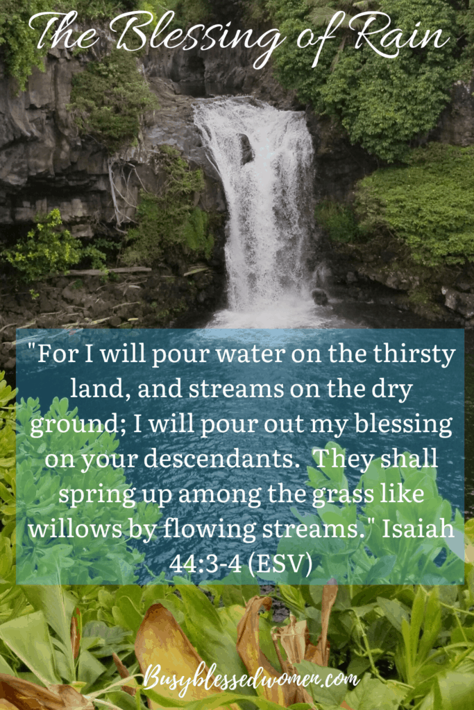 The Blessing of Rain- a short but wide waterfall emptying into a bright blue pool of water, surrounded by lush green land