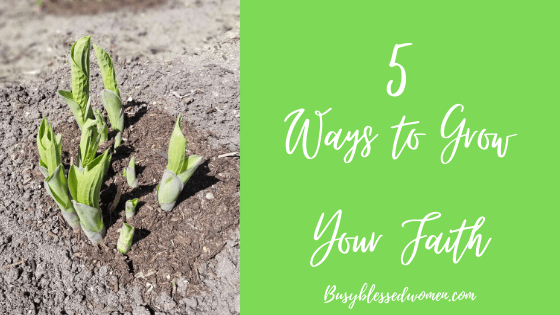 5 ways to Grow your faith- new green plants emerging from soil