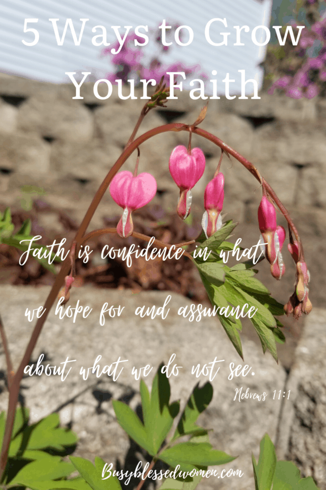 5 ways to grow your faith-bleeding heart plant in garden