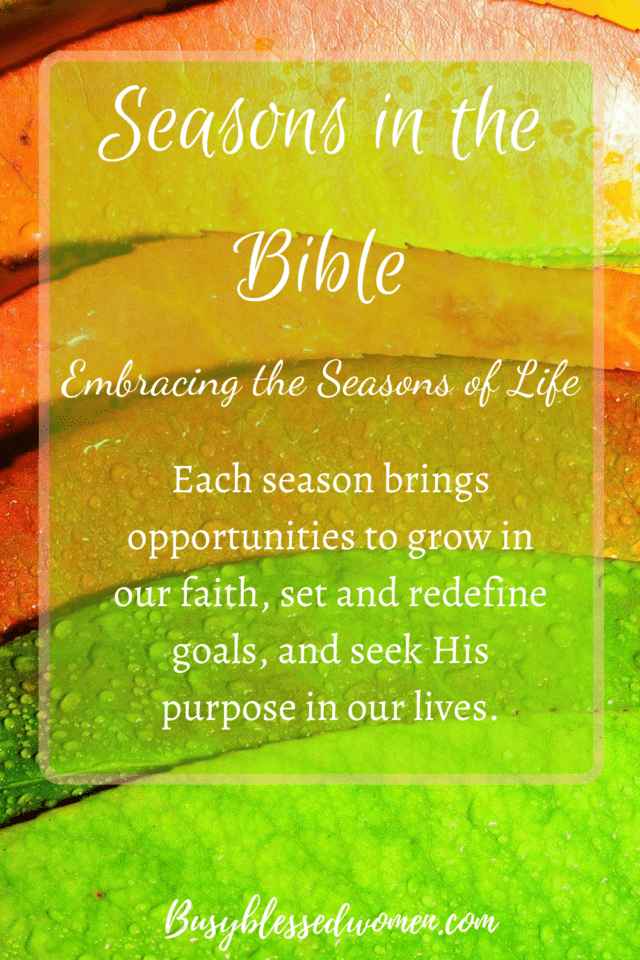 Seasons in the Bible- leaves of changing color