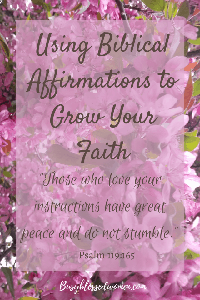 Biblical Affirmations- pink flower background with Psalm 119:165 transposed on top