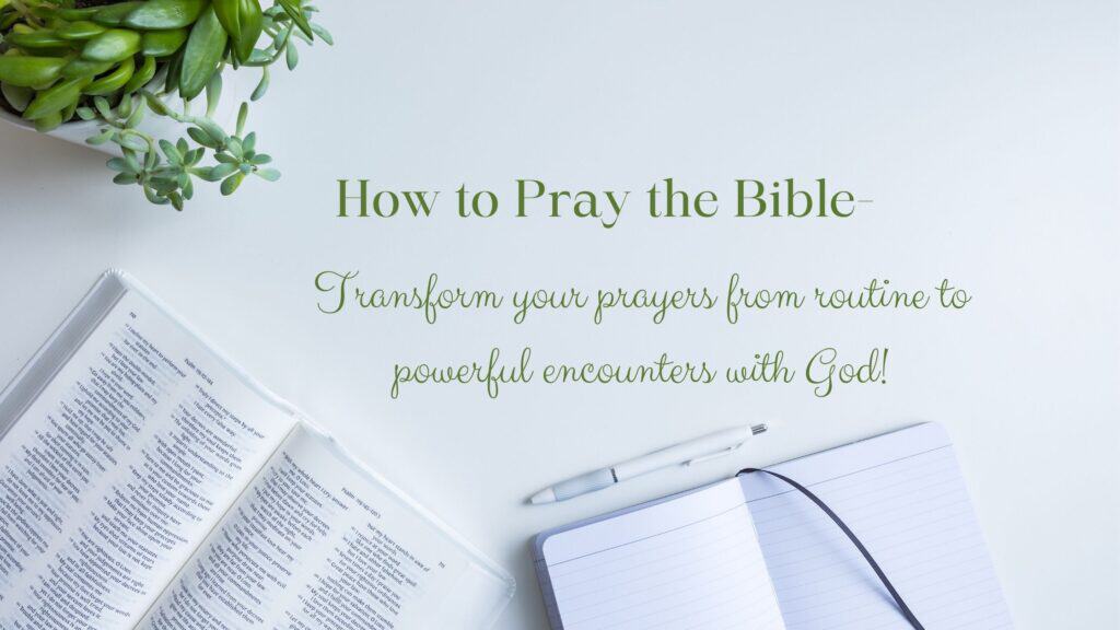 How to pray the Bible- open Bible on white desktop with blank journal nearby; green jade plant in upper right corner