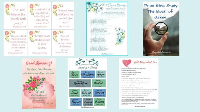 light blue background with insets of available graphics on resource page, pink flowered scripture cards, bible verses, bible study on james