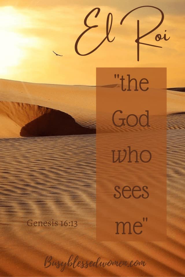 the God who sees me- sepia tone desert landscape with bird in sky