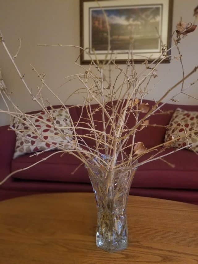 trusting God in difficult times- cut stems without buds in crystal vase on oak coffee table, burgundy couch in blurred background