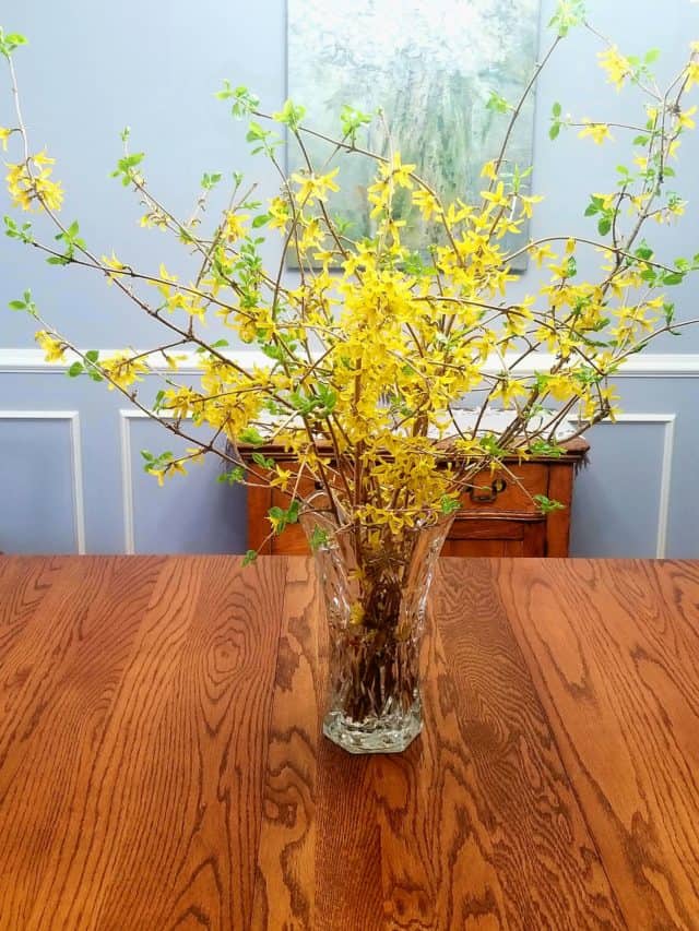 trusting God in difficult times- crystal vase with blooming yellow forsythia branches on oak table