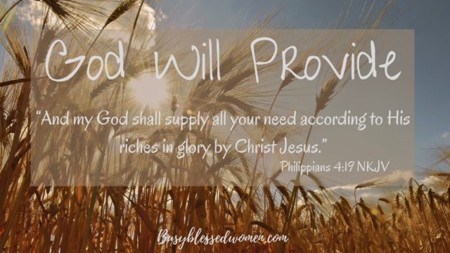 God Will Provide- close up of field of wheat