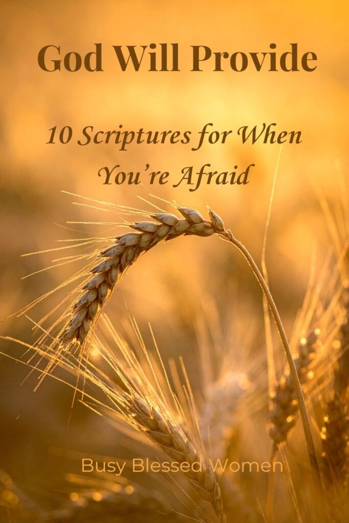 God will provide- close up photo of stalks of wheat