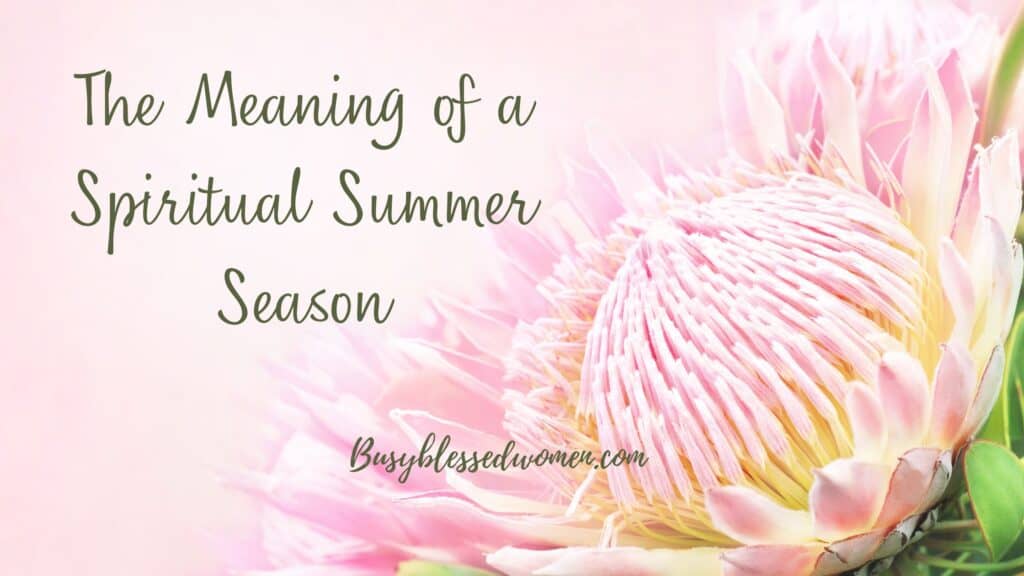 The Meaning of Summer Season- close up of large pink flower on a light pink background