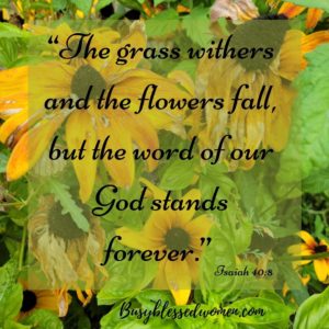 The Power of the word of God- dying yellow petaled flowers turning brown in garden