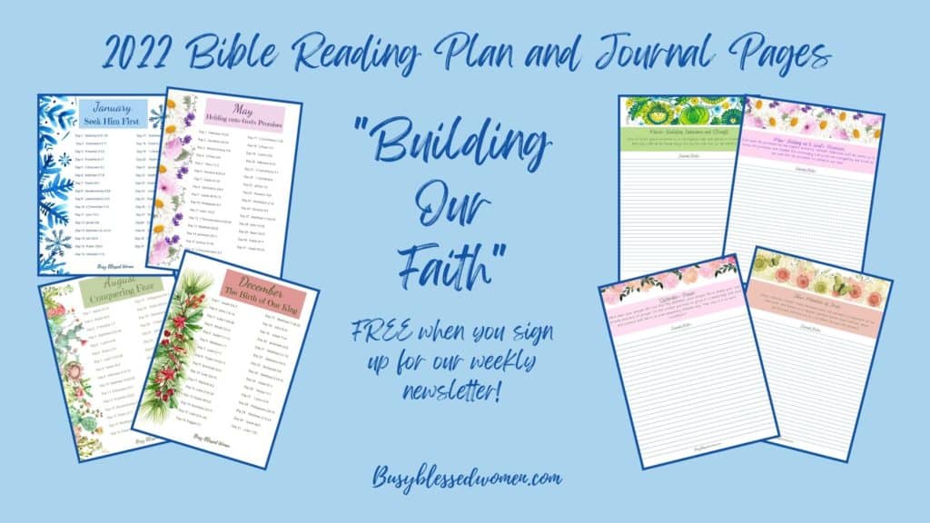 2022 Bible Reading Plan- 8 small representative pages from Bible Reading Plan and journal pages in frames of navy blue set on a light blue background