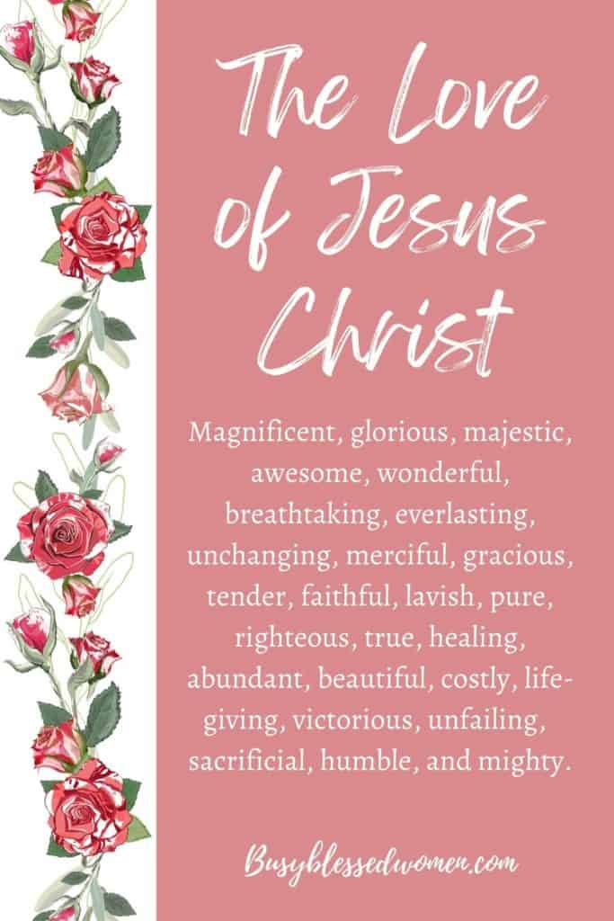 The love of Jesus Christ- vertical banner of roses on left, pink background with script