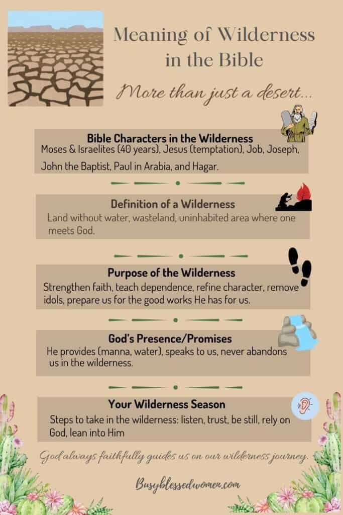 meaning of wilderness in the bible- infographic in brown tones with desert elements