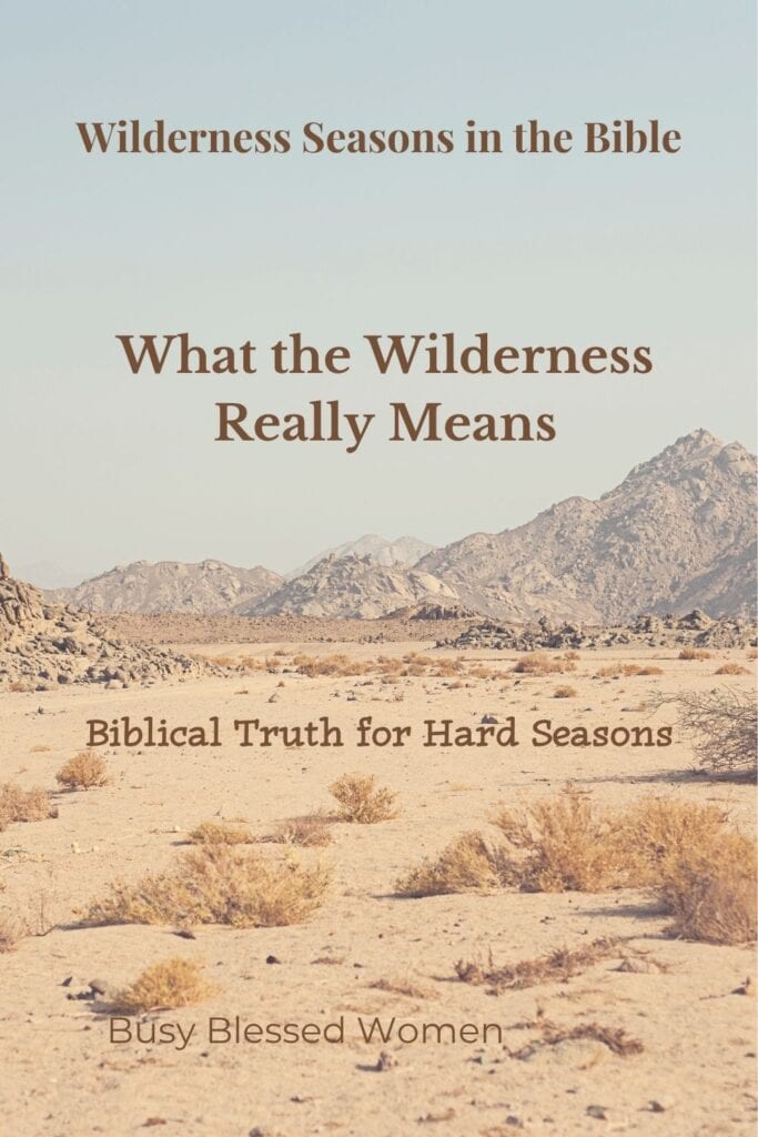 What does the wilderness mean in the Bible- desolate desert landscape