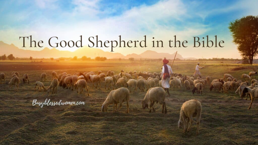 Shepherd in red turban and white robe roaming a field with his sheep, mountains in background, blue sky with white wispy clouds