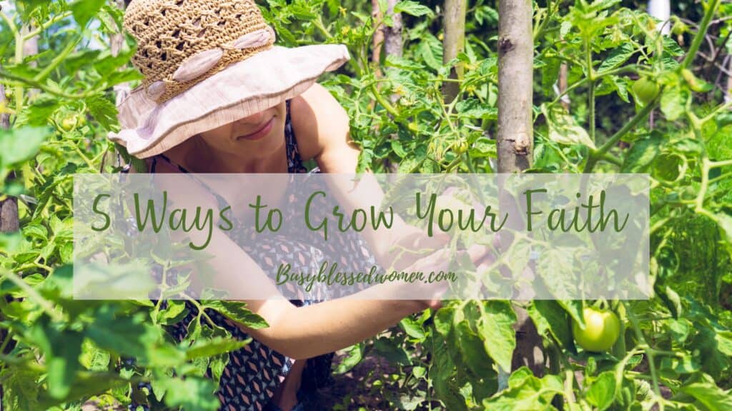 5 ways to grow your faith- woman with straw hat with white ribbon and sleeveless patterned dress tending to a garden of tomato plants