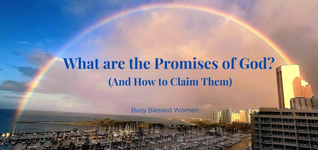 What are the promises of God- photo of rainbow in bright blue sky above marina