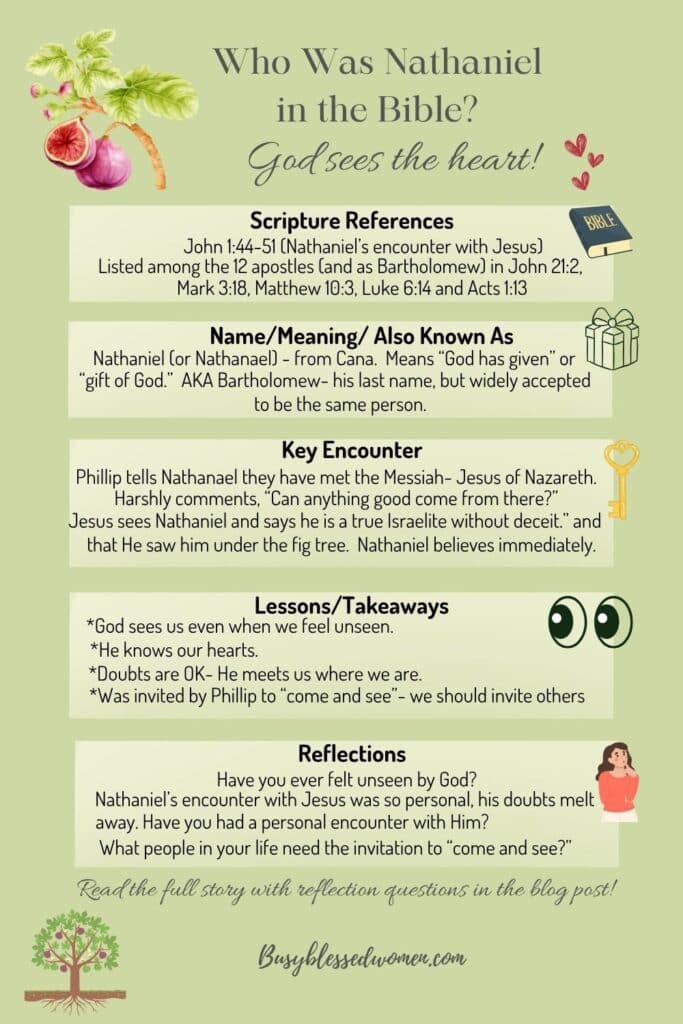 Who was Nathaniel in the Bible- infographic pin on light green background, fig tree element in upper and lower left corners