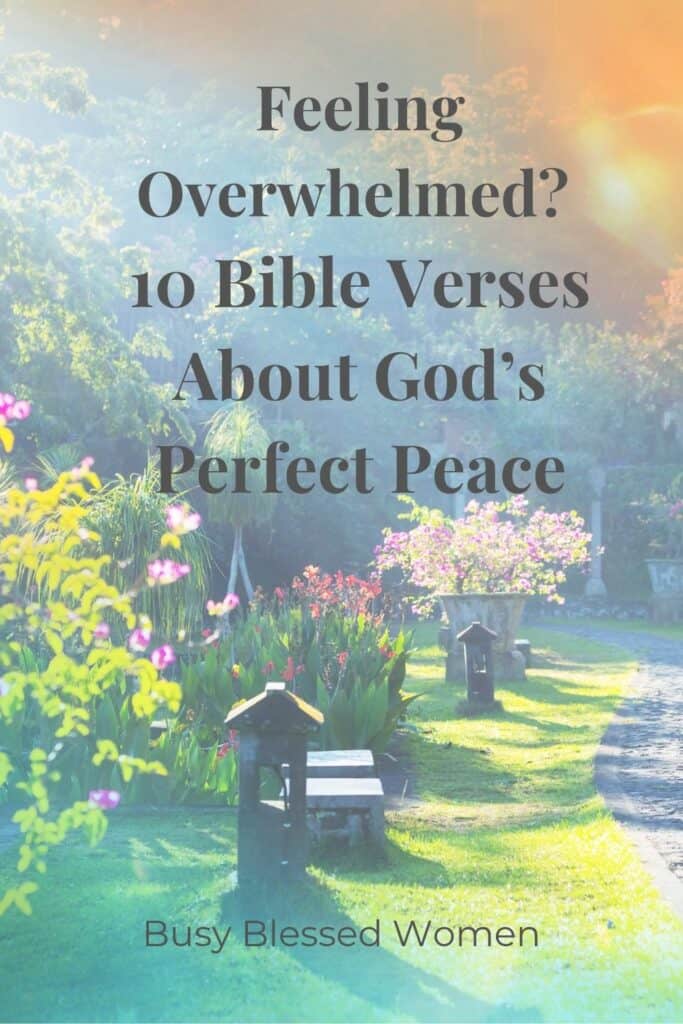 The Peace of God- serene and colorful garden scene