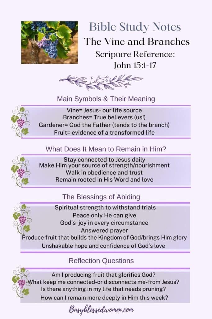 the vine and branches- infographic with small grape cluster photo in top left, purple text boxes with small grape vine accents