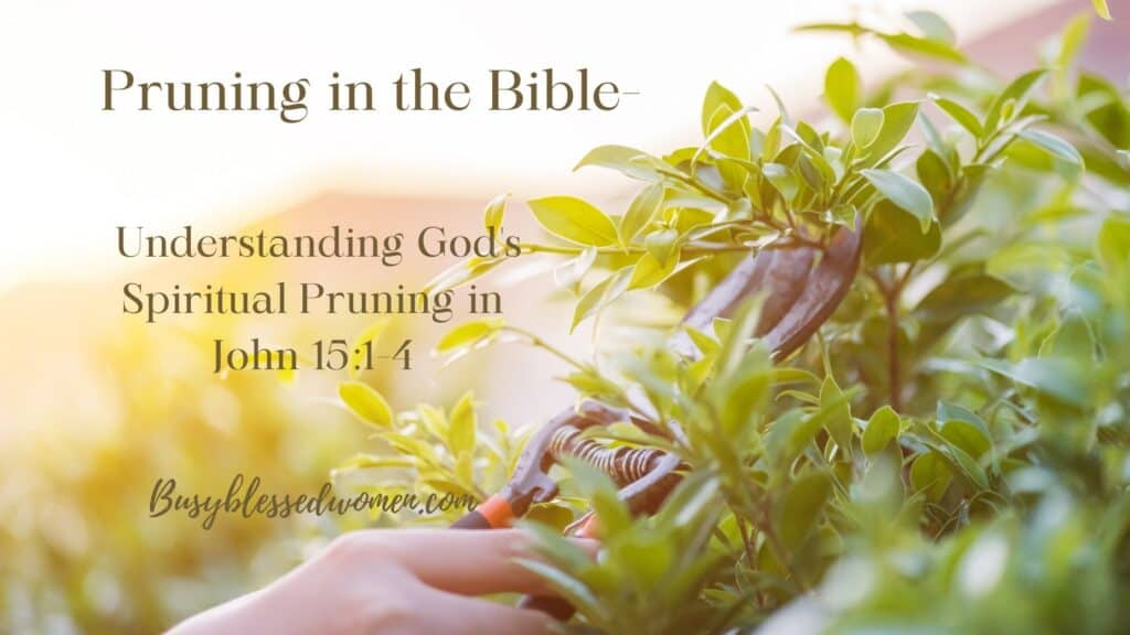 pruning in the bible- photo of green leafed tree being pruned by clippers, partial view of hand