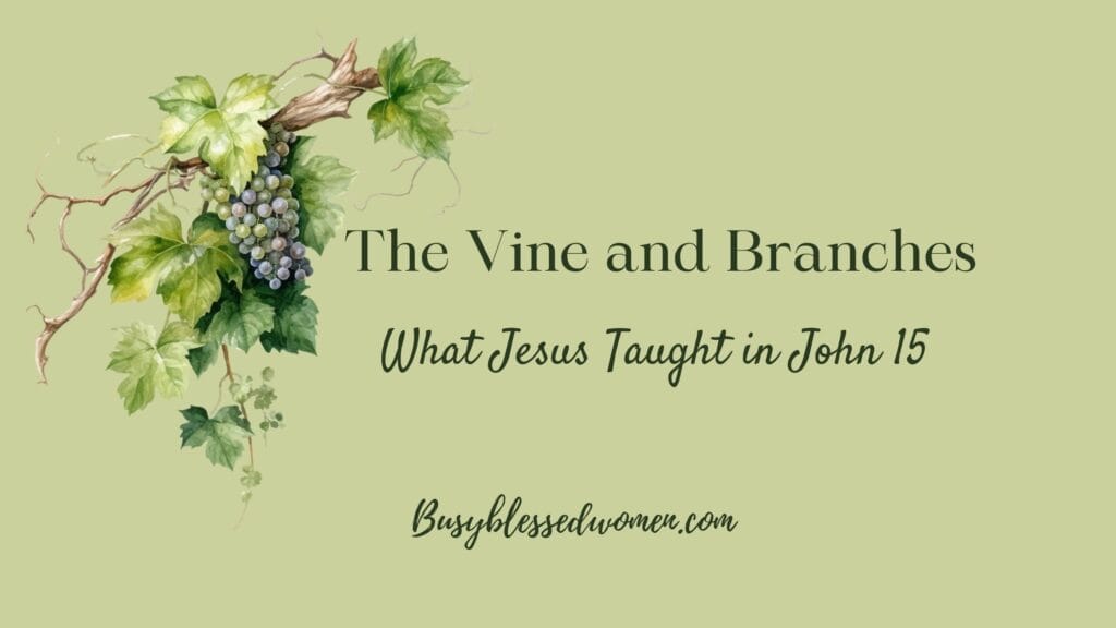 Vine and Branches- light green background with graphic of grape vines with grapes and branches.