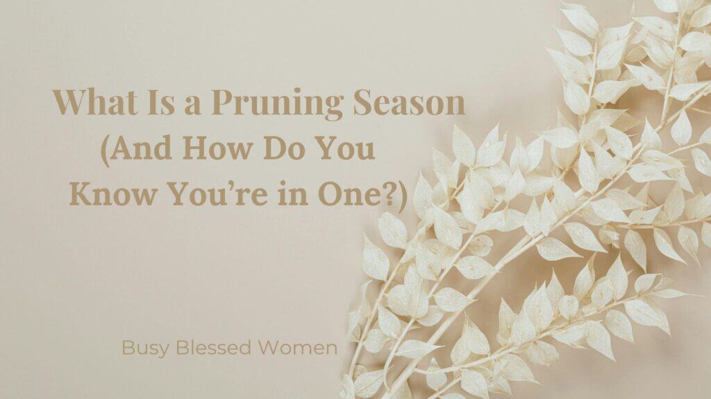What is a Pruning Season (and how do you know you're in one?)- beige background with white bunch of small flowers on right
