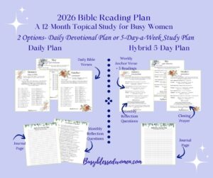bible reading plans- mock up of pages in reading plan showing both plans on blue background with white aesthetic stars in corners
