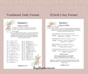 2026 Bible Reading Plans-Mock ups of 2026 Bible Reading plan formats on purple background, tiny pink floral banner across top