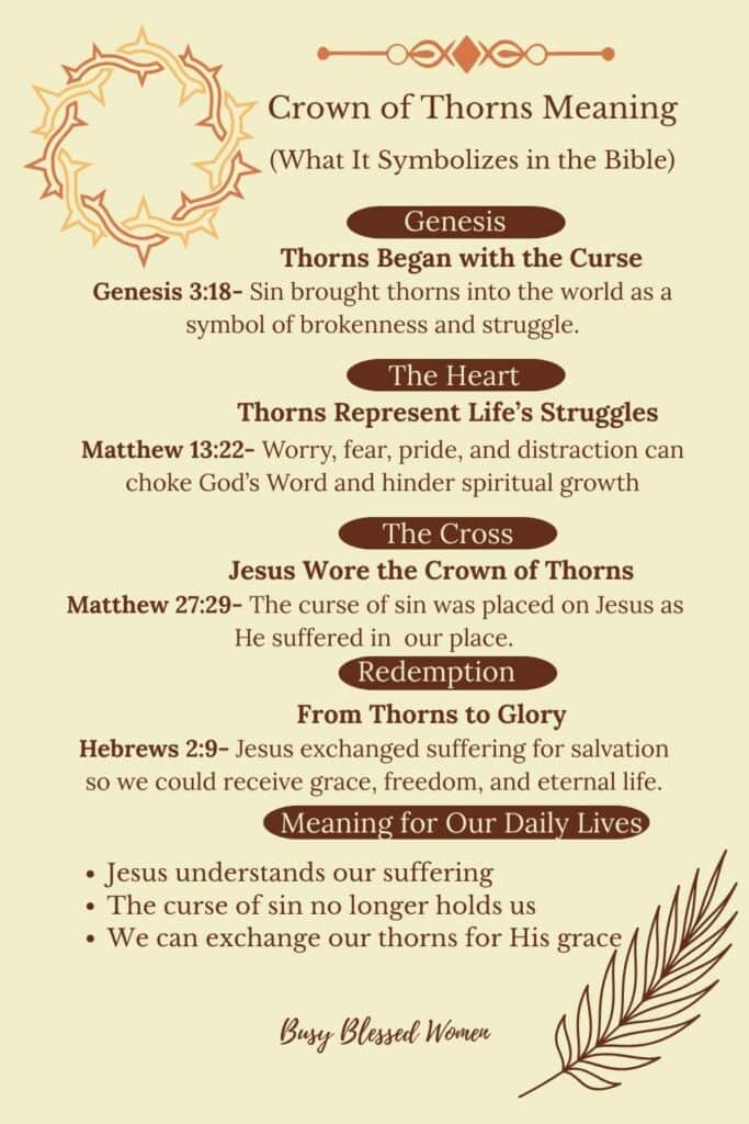 Christian infographic on the crown of thorns meaning, highlighting Genesis 3:18, Matthew 27:29, and the symbolism of Jesus bearing the curse of sin.